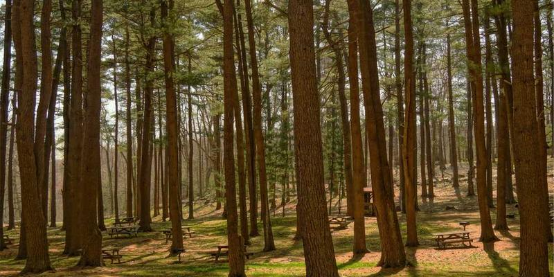 7 Tips Sederhana Merawat Furniture Kayu Anda