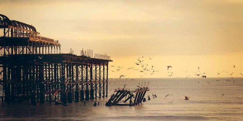 5 Jenis Kayu Terbaik untuk Furniture Tahan Lama