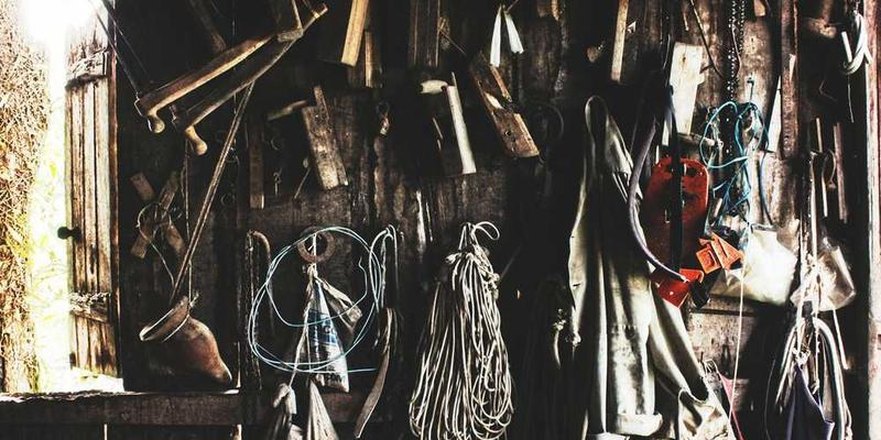 Tren Desain Interior Kayu 2024: Natural & Modern